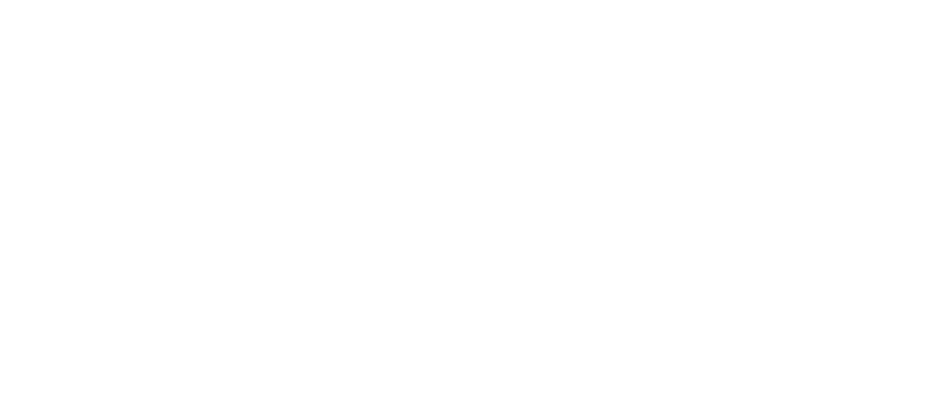 Logo Ski Booking blanc